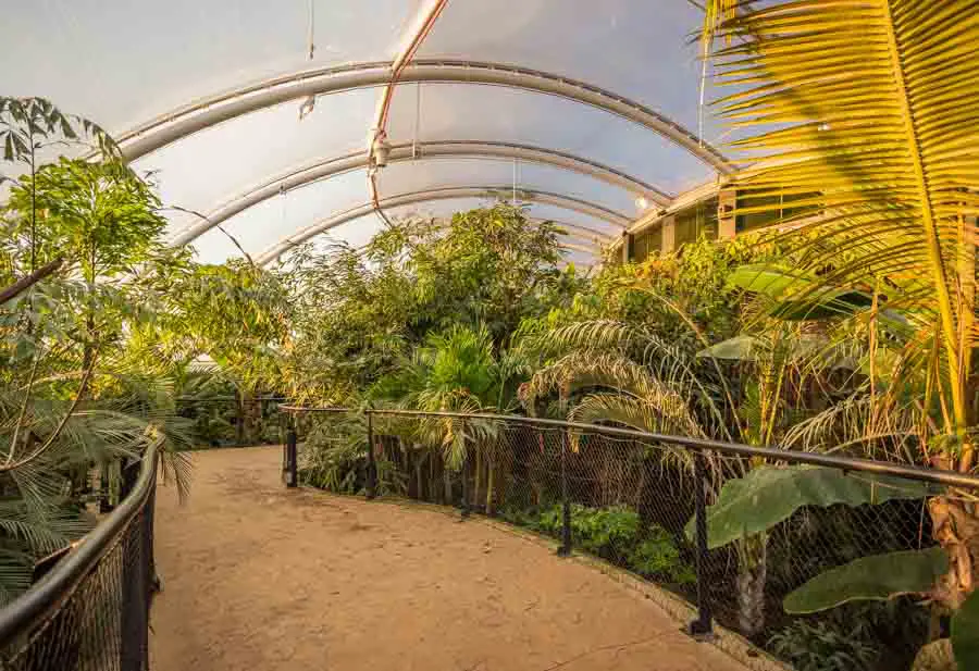 The new Tropical House at Marwell Zoo