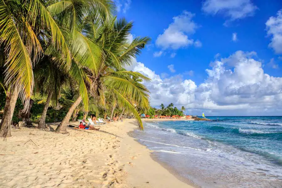 Picture of Dover Beach on Barbados near Johhny Cools Beach Bar
