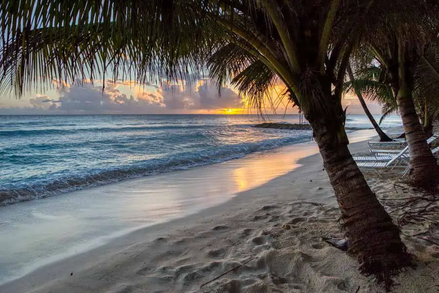Sunset and palm trees on Dover Beach Barbados
