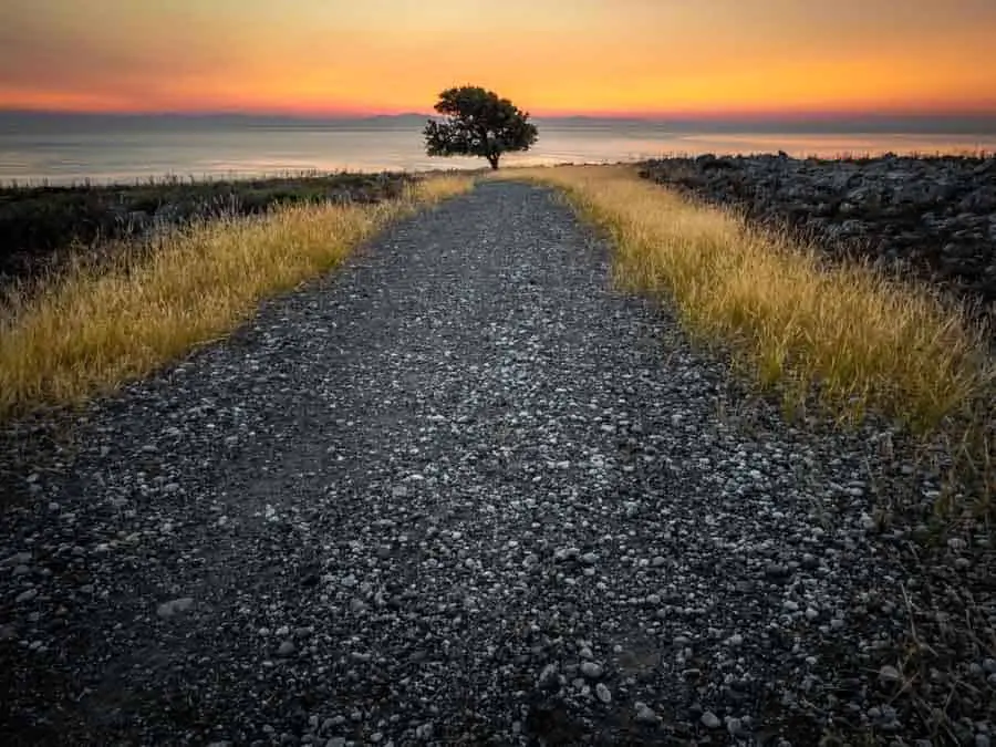 Tree at sunrise on Rhodes Greece by Rick McEvoy