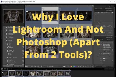 Why I Love Lightroom And Not Photoshop (Apart From 2 Tools)?